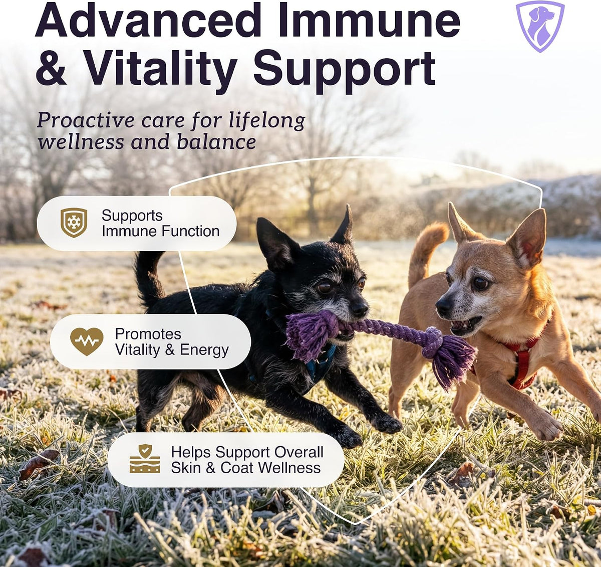 PRIMO Immune: Vital Mushrooms