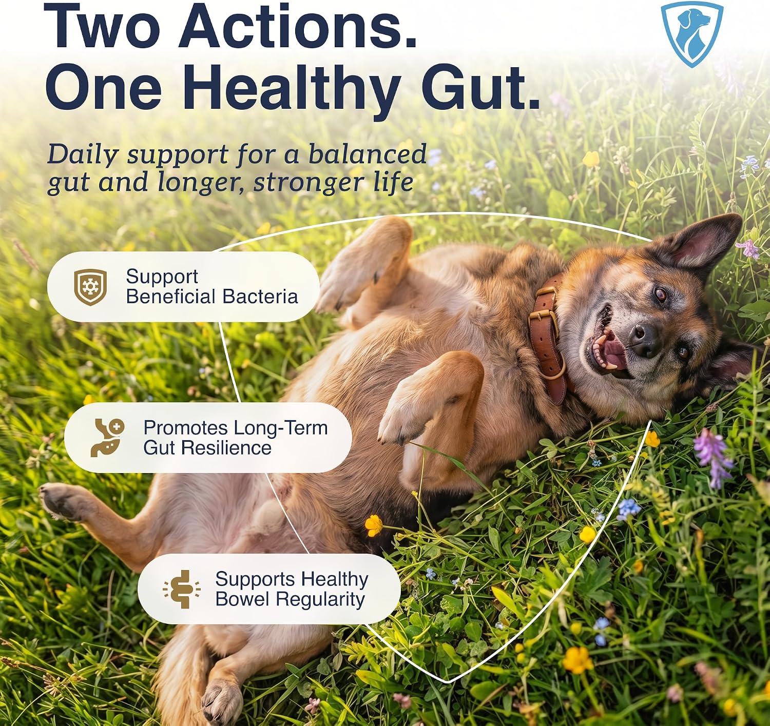 OPTIMA Digestive: Pre & Probiotics
