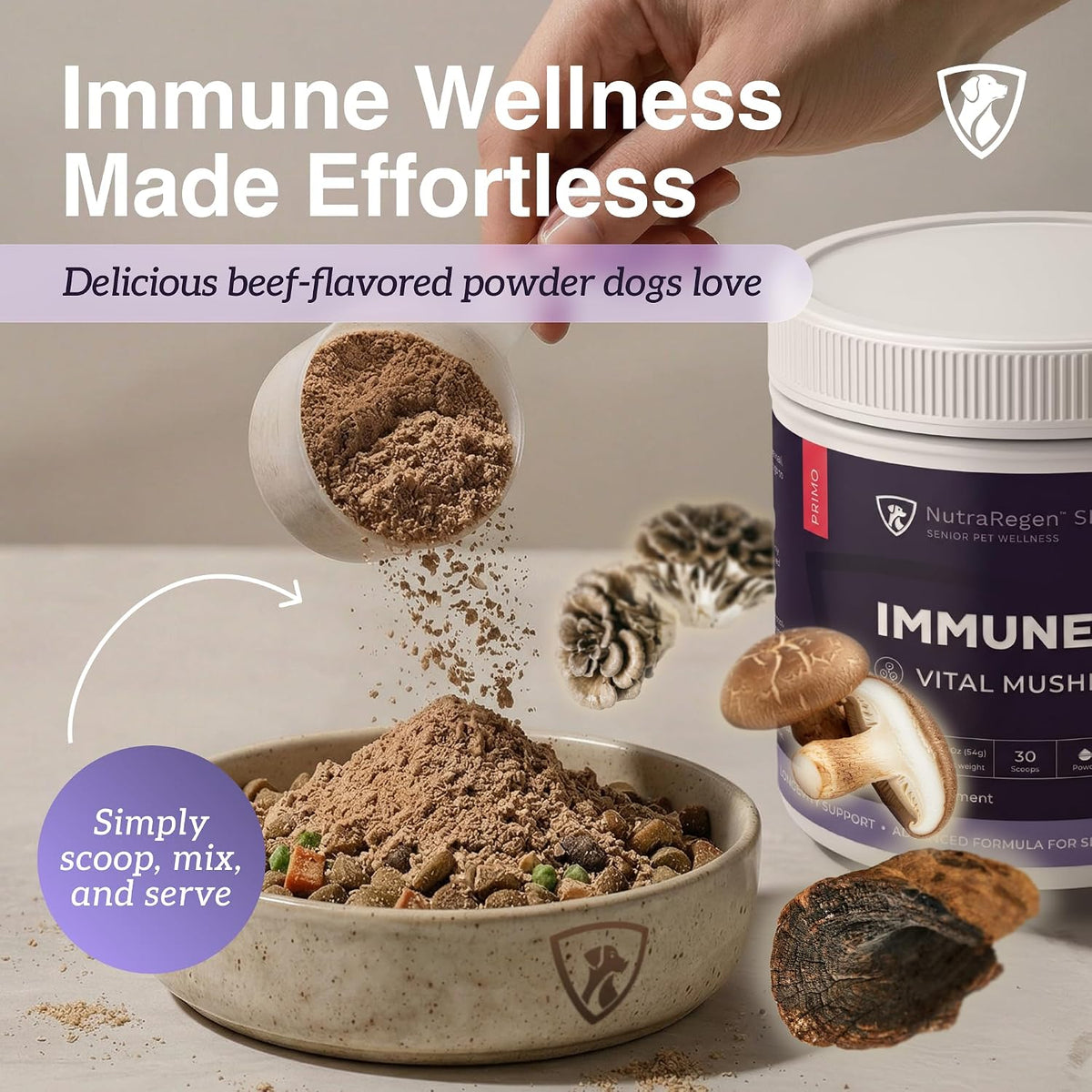 NutraRegen Immune Care powder mixed with dog food