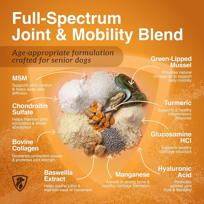 NutraRegen Joint Care mobility blend ingredients