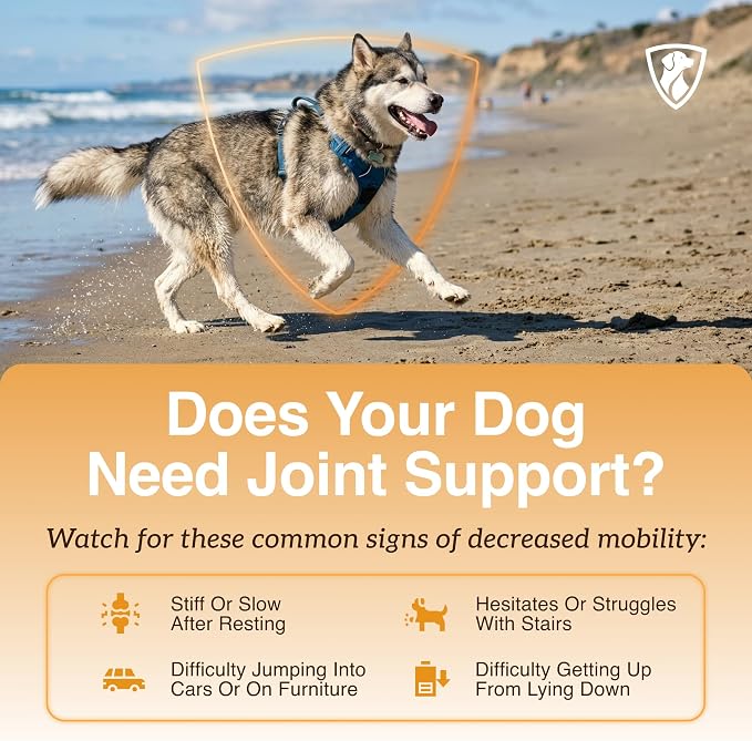 Signs your dog may need joint support