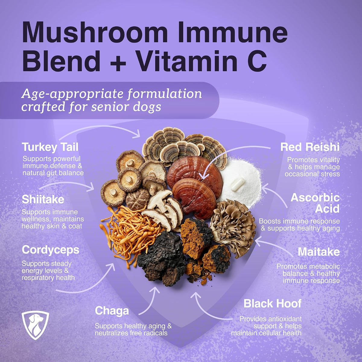 Mushroom immune blend with vitamin C for senior dogs