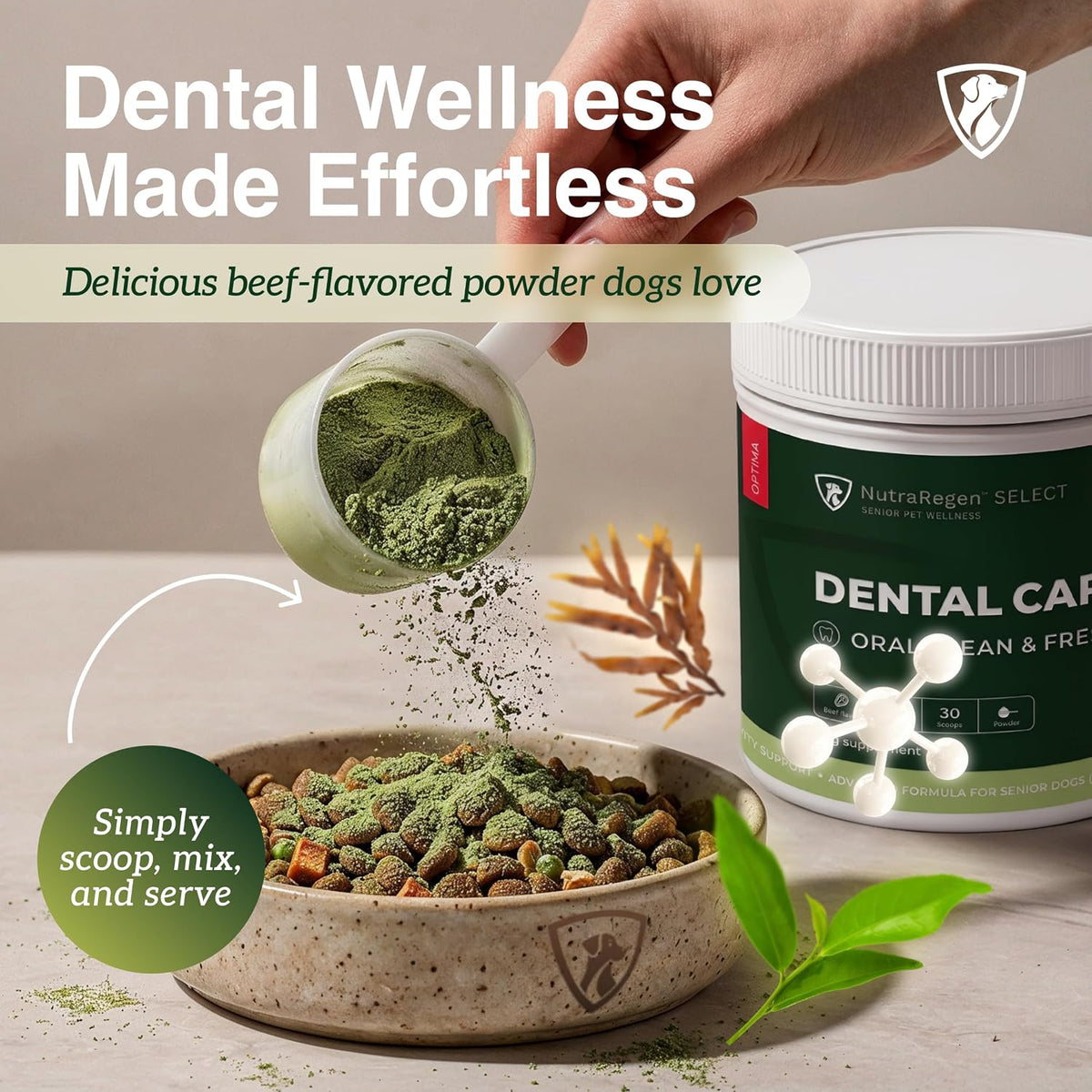 NutraRegen Dental Care powder mixed with dog food