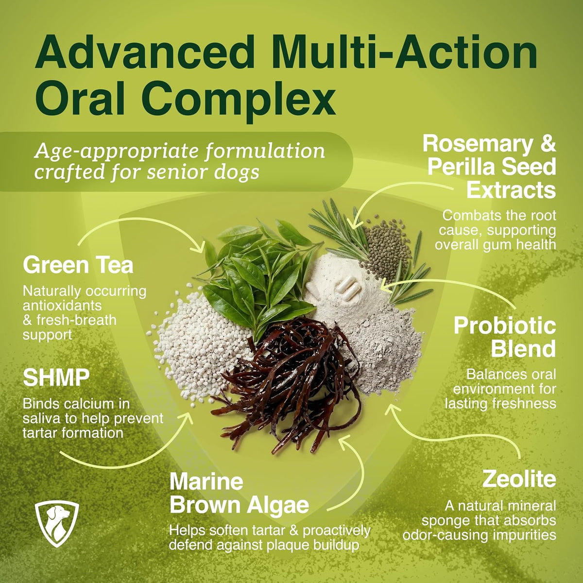 NutraRegen Dental Care oral complex ingredients