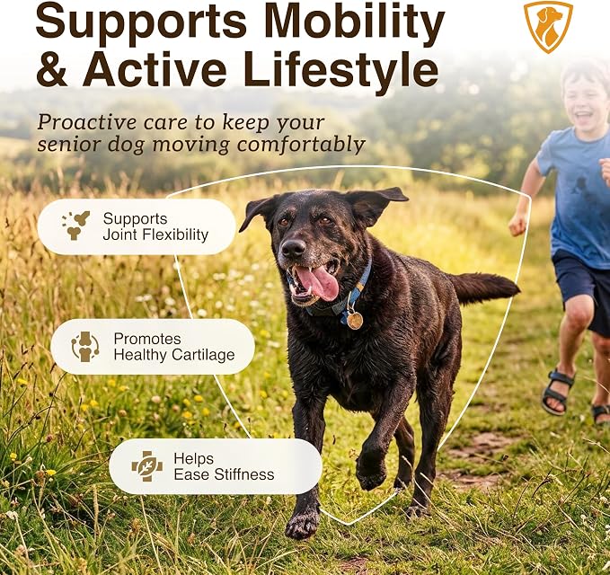FORTE Joint:  Move & Flex Complete
