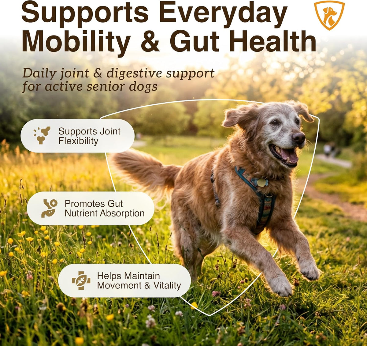 OPTIMA Joint:  Mobility & Gut