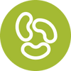 Icon 5