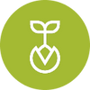 Icon 6