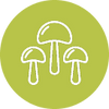 Icon 4