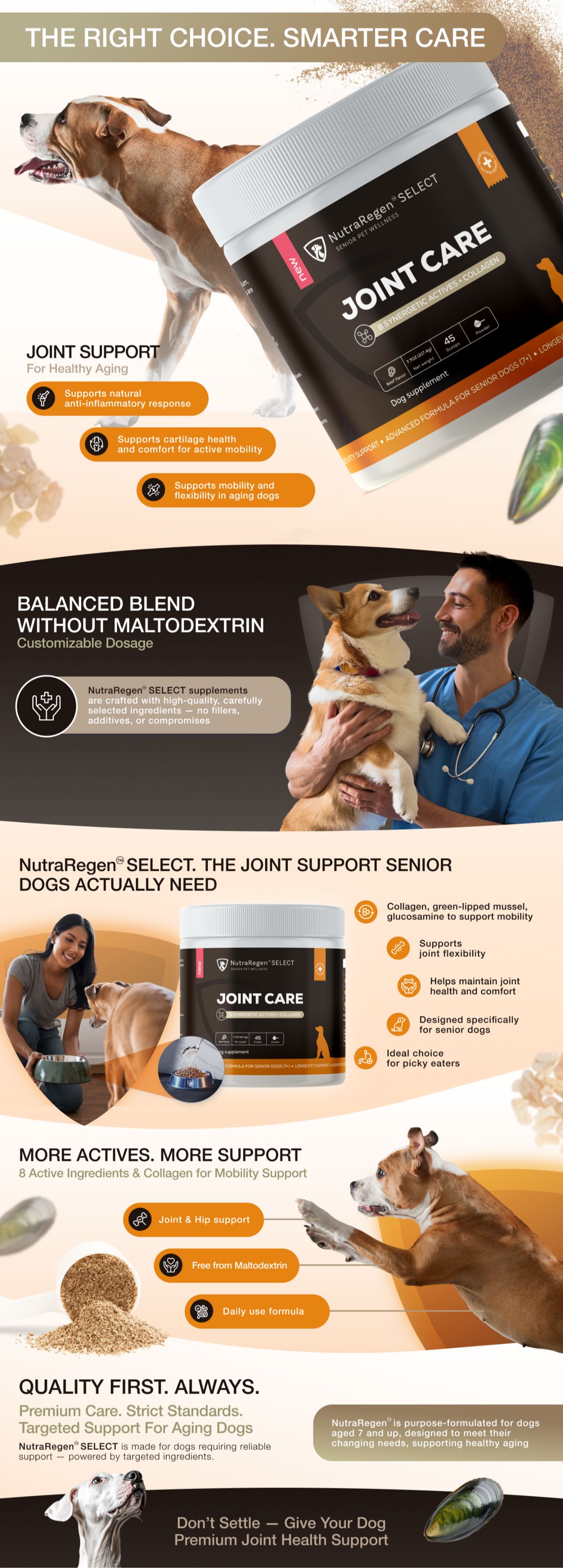 Joint Supplement for Senior Dogs – Supplements for Dogs | NutraRegen
