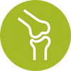 Icon 1