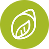 Icon 3