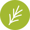 Icon 4