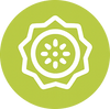 Icon 5